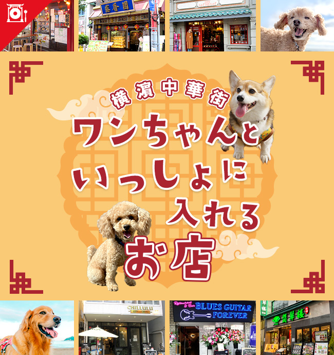 ワンちゃんと一緒に入れるお店